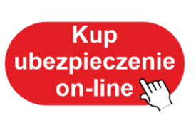 Ubezpieczenia on-line